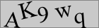 Sicherheitscode